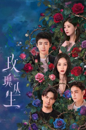 Bụi Hoa Hồng Bụi Hoa Hồng