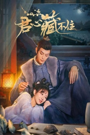 Lòng Quân Không Thể Giấu Lòng Quân Không Thể Giấu